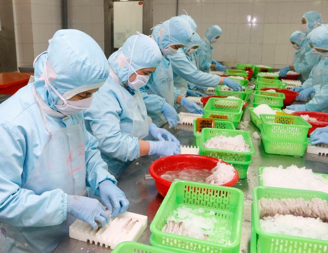 Xuất khẩu tôm đạt gần 955 triệu USD, tăng 44% so với cùng kỳ năm ngoái