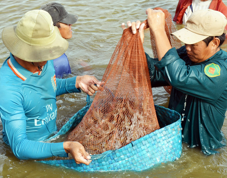 Mỹ, Trung Quốc, Nhật tăng tốc mua nhiều loại thủy sản, Việt Nam thu ngay 6 tỷ USD
