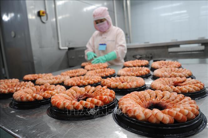 Tôm Việt giữ vị thế số 1 tại nhiều thị trường
